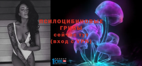 СК Алексеевка