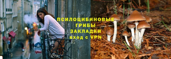 СК Алексеевка
