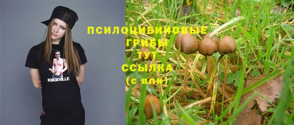 круглые Алзамай