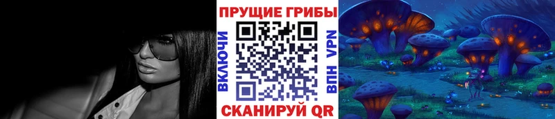 Псилоцибиновые грибы Psilocybine cubensis Краснодар